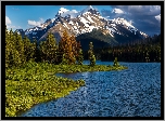 Park Narodowy Jasper, Góry, Jezioro, Maligne Lake, Drzewa, Prowincja Alberta, Kanada