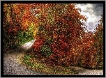 Jesień, Droga, Drzewa, Zakręt