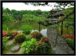 Park, Ogród, Japoński, Staw, Altana