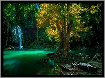 Wodospad, Rzeka, Drzewo, Park Narodowy Erawan, Tajlandia