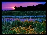 Zachód Słońca, Jezioro, Kwiaty