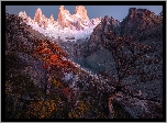 Argentyna, Patagonia, Ośnieżone, Góry, Szczyt Fitz Roy, Jezioro, Drzewa