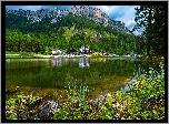 Włochy, Góry, Dolomity, Las, Drzewa, Prowincja, Belluno, Jezioro, Lago di Misurina, Domy, Kwiaty, Kaczeńce, Omszałe, Kamienie