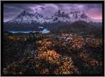 Chile, Patagonia, Park Narodowy Torres del Paine, Góry, Jesień, Roślinność