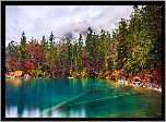 Szwajcaria, Wyżyny Berneńskie, Jezioro Blausee, Ławka, Jesień, Las, Drzewa