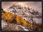 Stany Zjednoczone, Stan Kolorado, Droga, Góry, Góra Gothic Mountain, Drzewa