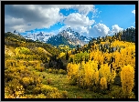 Stany Zjednoczone, Kolorado, Szczyt, Mount Sneffels, Góry Skaliste, Lasy, Drzewa, Jesień, Chmury