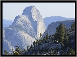 Stany Zjednoczone, Stan Kalifornia, Park Narodowy Yosemite, Góry, Góra Half Dome, Drzewa