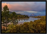 Stany Zjednoczone, Stan Wyoming, Park Narodowy Grand Teton, Góry, Drzewa