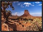 Stany Zjednoczone, Wyżyna Kolorado, Monument Valley, Dolina Pomników, Skały, Drzewo