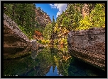 Stany Zjednoczone, Arizona, Sedona, Skały, Wąwóz, Rzeka, West Fork of Oak Creek, Drzewa, Odbicie