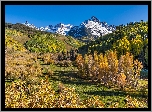 Góry, San Juan Mountains, Góra Mount Sneffels, Lasy, Drzewa, Jesień, Polana, Kolorado, Stany Zjednoczone