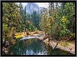 Stany Zjednoczone, Stan Kalifornia, Park Narodowy Yosemite, Las, Rzeka, Góry