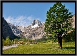 Tyrol, Góry, Lasy, Łąka, Hotel, Alpengasthof, Gramai