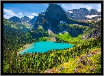Park Narodowy Glacier, Montana, Stany Zjednoczone, Drzewa, Góry, Jezioro, Grinnell Lake, Rośliny