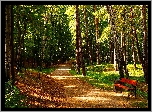 Polska, Gdańsk, Park Brzeźnieński im. J. J. Haffnera, Alejka, Drzewa Ławka, Zieleń