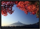 Japonia, Góra, Mount, Fuji, Czerwone, Liście