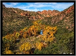 Jesień, Drzewa, Góry, Rzeka, Kanion Sycamore, Arizona, Stany Zjednoczone