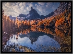 Jesień, Góry, Jezioro, Lago Federa, Żółte, Drzewa, Modrzew, Trawa, Włochy