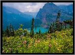 Park Narodowy Glacier, Montana, Stany Zjednoczone, Drzewa, Góry, Jezioro, Grinnell Lake, Łąka, Rośliny, Chmury