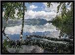 Jezioro Lake McDonald, Drzewa, Brzozy, Góry, Chmury, Odbicie, Park Narodowy Glacier, Stan Montana, Stany Zjednoczone