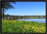 Wiosna, Jezioro, Kwiaty
