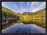 Jezioro, Bear Lake, Park Narodowy Gór Skalistych, Stan Kolorado, Stany Zjednoczone, Drzewa, Las, Odbicie