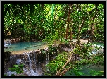 Las, Wodospad Erawan waterfall, Drzewa, Krzewy, Park Narodowy Erawan, Prowincja Kanchanaburi, Tajlandia