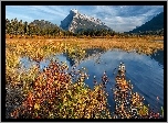 Kanada, Park Narodowy Banff, Góra, Mount Rundle, Jezioro, Vermilion Lake, Jesień, Drzewa