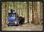 Ciężarówka, Mercedes-Benz Arocs 2658 L 6×4, 2016, Las