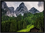 Austria, Miejscowość Gosau, Góry Dachstein, Las, Drewniany, Dom