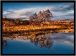 Szkocja, Region Highlands, Góry Rannoch Moor, Jezioro Loch Bà, Jesień, Drzewa