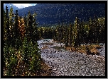 Kanada, Mount Robson Provincial Park, Rzeka, Drzewa, Góry