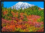 Stany Zjednoczone, Waszyngton, Park Narodowy Mount Rainier, Stratowulkan, Mount Rainier, Drzewa, Roślinność, Jesień, Góry