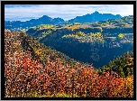 Jesień, Góry, San Juan Mountains, Dolina, Drzewa, Lasy, Kolorowe, Krzewy, Telluride, Kolorado, Stany Zjednoczone