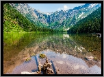 Stany Zjednoczone, Stan Montana, Park Narodowy Glacier, Jezioro Hidden Lake, Góry, Drzewa