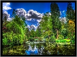 Park, Staw, Chmury, HDR