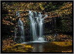 Park stanowy Ricketts Glen State Park, Wodospad, Skały, Las, Stan Pensylwania, Stany Zjednoczone