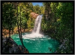 Wodospad, Tawhai Falls, Jezioro, Drzewa, Roślinność, Park Narodowy Tongariro, Nowa Zelandia
