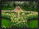 Park, Wiosna, Żółte, Tulipany