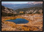 Polana, Staw, Góry, Elk Mountains, Przełęcz Cottonwood, Kolorado, Stany Zjednoczone