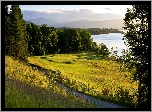 Pole golfowe, Cameron House Golf Course, Drzewa, Lasy, Jezioro Loch Lomond, Trawa, Wschód słońca, Szkocja