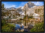 Stany Zjednoczone, Kalifornia, Rezerwat przyrody Wilderness John Muir, Góry Sierra Nevada, Jezioro, Kamienie, Drzewa