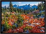 Park Narodowy Mount Rainier, Góry, Tatoosh Range, Łąka, Jesień, Roślinność, Drzewa, Śnieg, Stan Waszyngton, Stany Zjednoczone