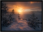 Norwegia, Ringerike, Zima, Zachód słońca, Śnieg, Drzewa, Jezioro