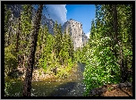 Park Narodowy Yosemite, Góra, El Capitan, Rzeka, Merced River, Drzewa, Krzewy, Stany Zjednoczone, Kalifornia