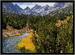 Góry, Sierra Nevada, Rzeka, Rock Creek, Drzewa, Lasy, Eastern Sierra, Stan Kalifornia, Stany Zjednoczone