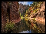 Stany Zjednoczone, Arizona, Sedona, Skały, Wąwóz, Rzeka, West Fork of Oak Creek, Drzewa