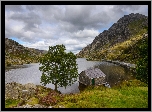 Wielka Brytania, Walia, Park Narodowy Snowdonia, Góry, Jezioro Llyn Ogwen, Drzewa, Droga