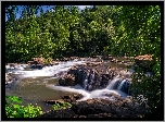 Stany Zjednoczone, Stan Georgia, High Falls State Park, Drzewa, Rzeka, Kamienie